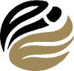 wls-logo-footer
